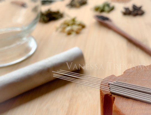 Vanessa Trevisan - Terapias Integrativas